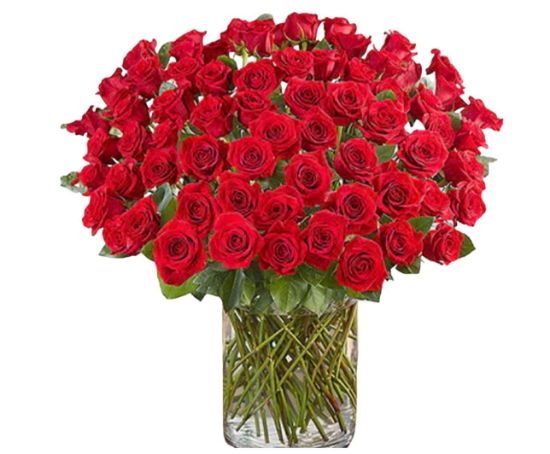 صورة فاز الحب