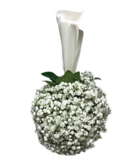 Picture of باقه كره الجيبسوفيليا