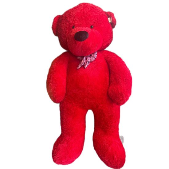 صورة دب احمر كبير