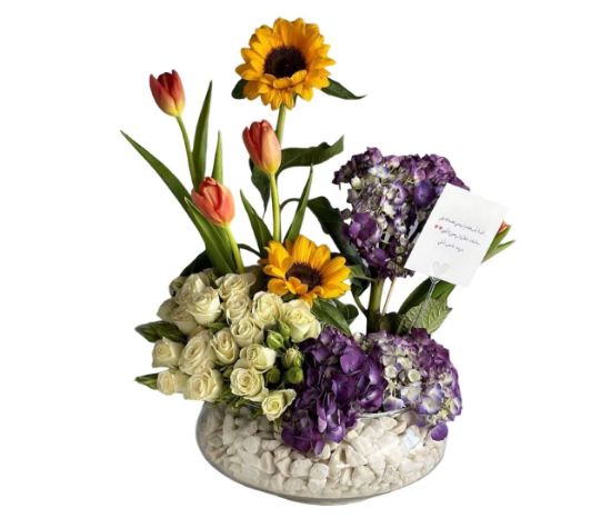 Picture of فاز الاشراقه