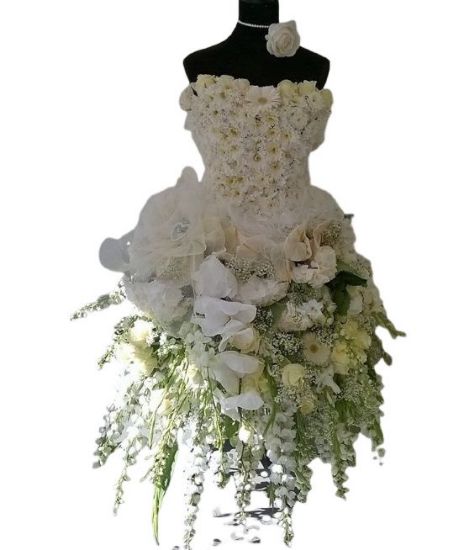 صورة مانيكان مناسبات