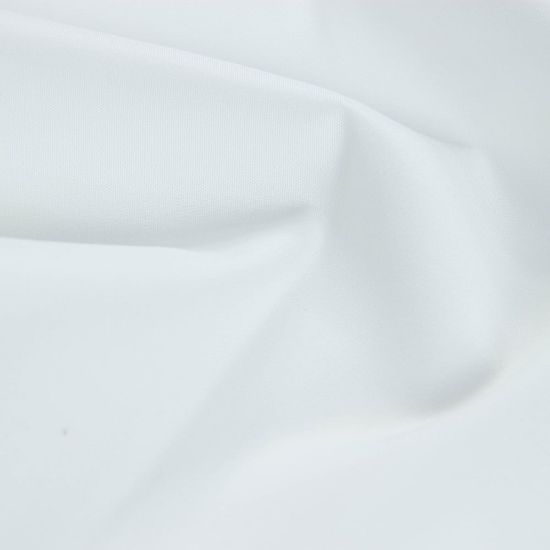 صورة قماش ريتشي 218