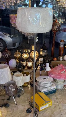 صورة ابجورة وسط بيضه