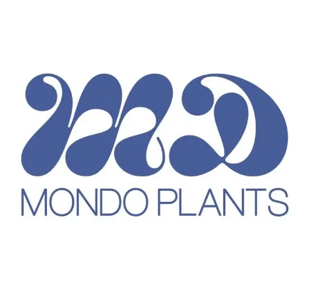 صورة البائع موندو بلانتس