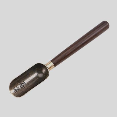 صورة ملعقة شاي كونغ فو