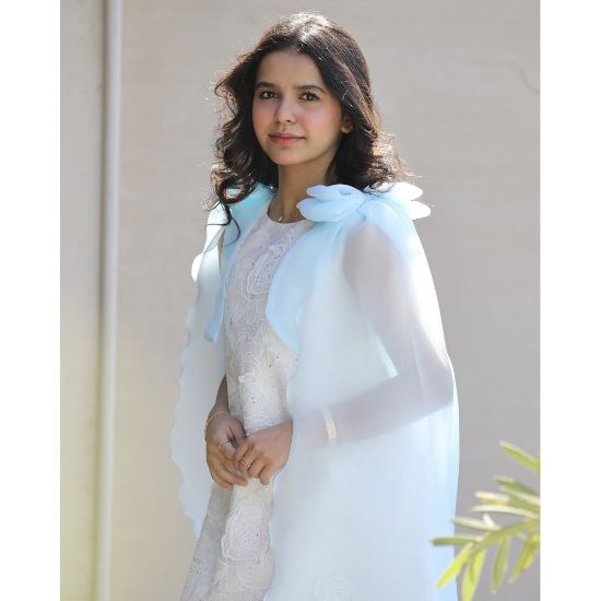 صورة فستان بناتي مطرز ورود كبيرة وفيونكات فراشة سماويه | تصميم ملكي - 1201