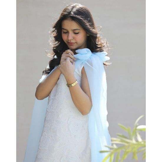 صورة فستان بناتي مطرز ورود كبيرة وفيونكات فراشة سماويه | تصميم ملكي - 1201