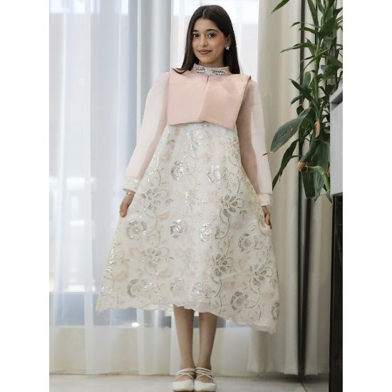 صورة فستان بناتي لحمي مطرز فضي بأكمام شفافة واكسسوار رقبة - 1204
