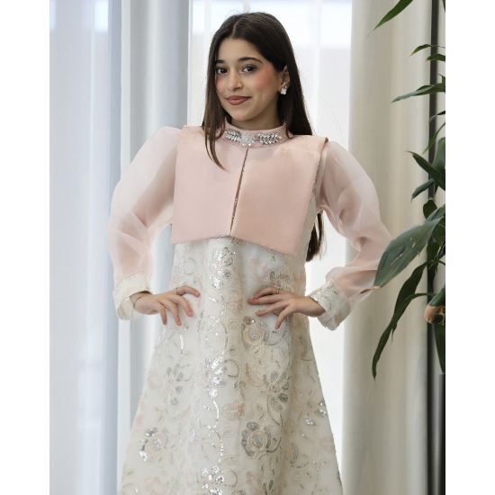 صورة فستان بناتي لحمي مطرز فضي بأكمام شفافة واكسسوار رقبة - 1204