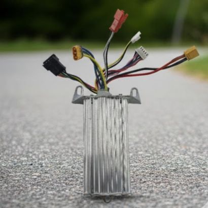 صورة كتاوت - منظم