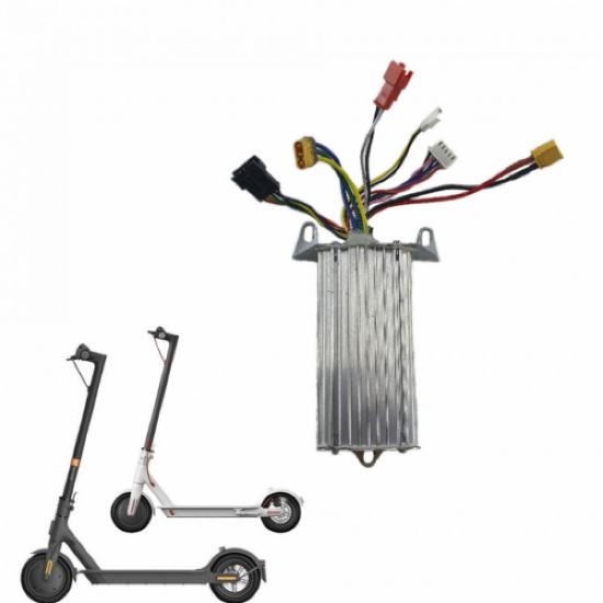 صورة كتاوت - منظم