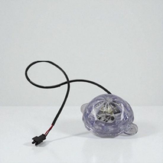 صورة اناره ليد بالوان متعدده