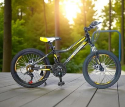 صورة دراجة بانوير مقاس 20