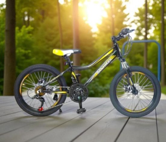 صورة دراجة بانوير مقاس 20