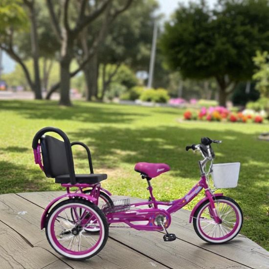 صورة دراجة فرحة العائلية الثلاثية مقاس 20