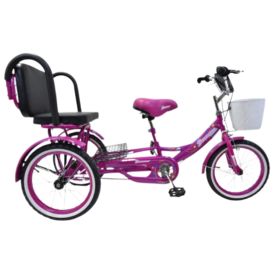 صورة دراجة فرحة العائلية الثلاثية مقاس 20