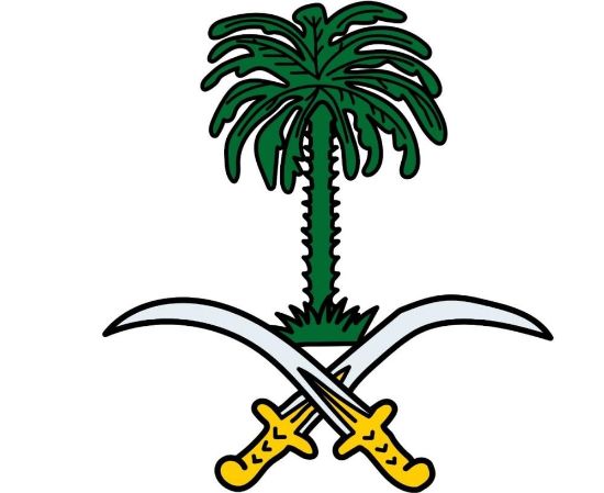 صورة استكر كبير شعار  علم المملكة السيفين والنخلة