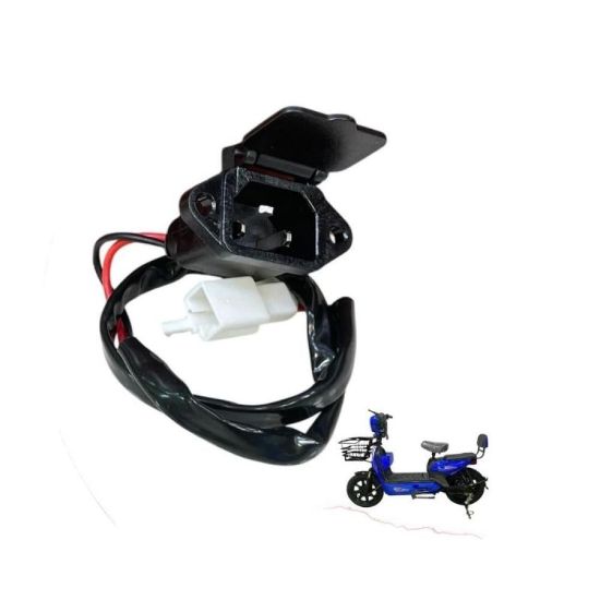 صورة مدخل شاحن دراجة كهربائية 48V