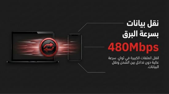 صورة كابل شحن سريع تايب سي من الطرفين /Fast Charging Cable Type CE From Both sides