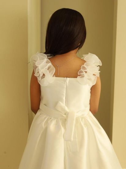 صورة فستان سهره كلاسيكي راقي لحمي