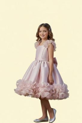 صورة فستان سهره كلاسيكي راقي لحمي