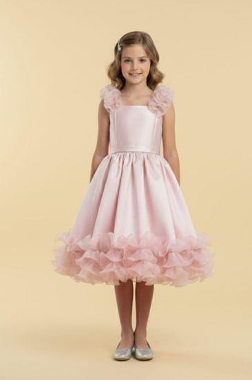 صورة فستان سهره كلاسيكي راقي لحمي