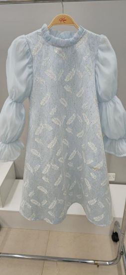 صورة فستان سماوي كم طويل بلمسات ناعمة