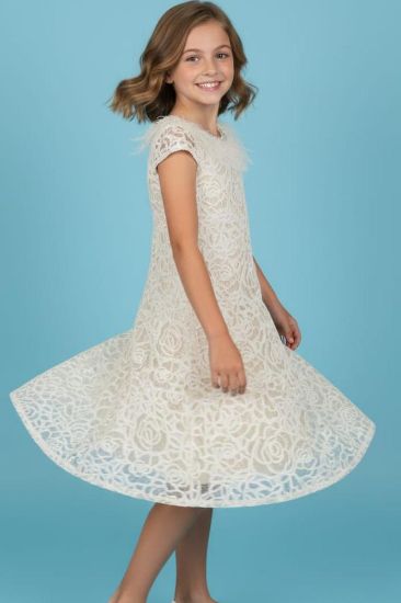 صورة فستان بيج انيق وجميل ريش ونل على العنق