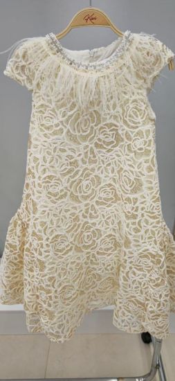 صورة فستان بيج انيق وجميل ريش ونل على العنق