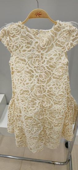 صورة فستان بيج انيق وجميل ريش ونل على العنق