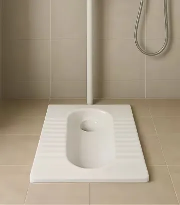 صورة SQUATTING PAN WHITE [CERAMIC]