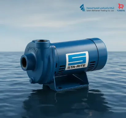 صورة W.PUMP 2HP DVLT STARITE [USA]