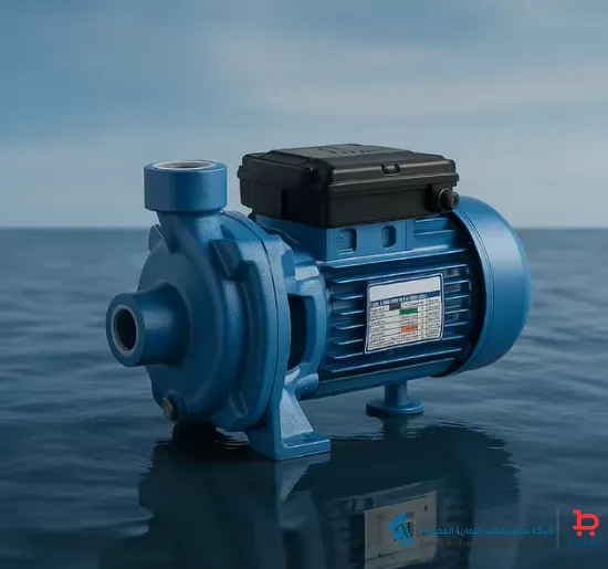 صورة W.PUMP 0.75HP 220V GPV [ITALY]