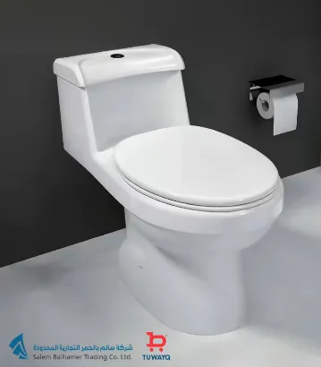 صورة WATER CLOSET WT 30cm (NOWRAS) [CERAMIC]