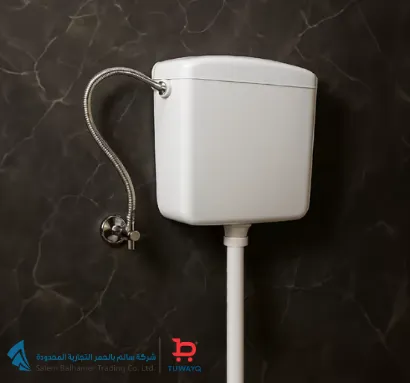 صورة HIGH LEVEL CISTERN WHITE [GERMANY]
