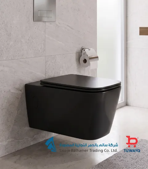 صورة كرسي معلق أبيض 2005 570MMX355MMX370MM   ماجور