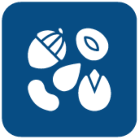 صورة لقسم مكسرات